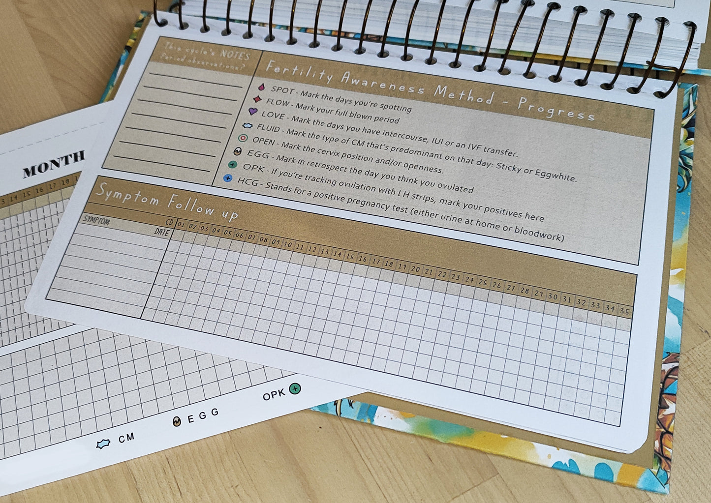 TTC PLANNER, SIGNATURE Edition: Physical Product
