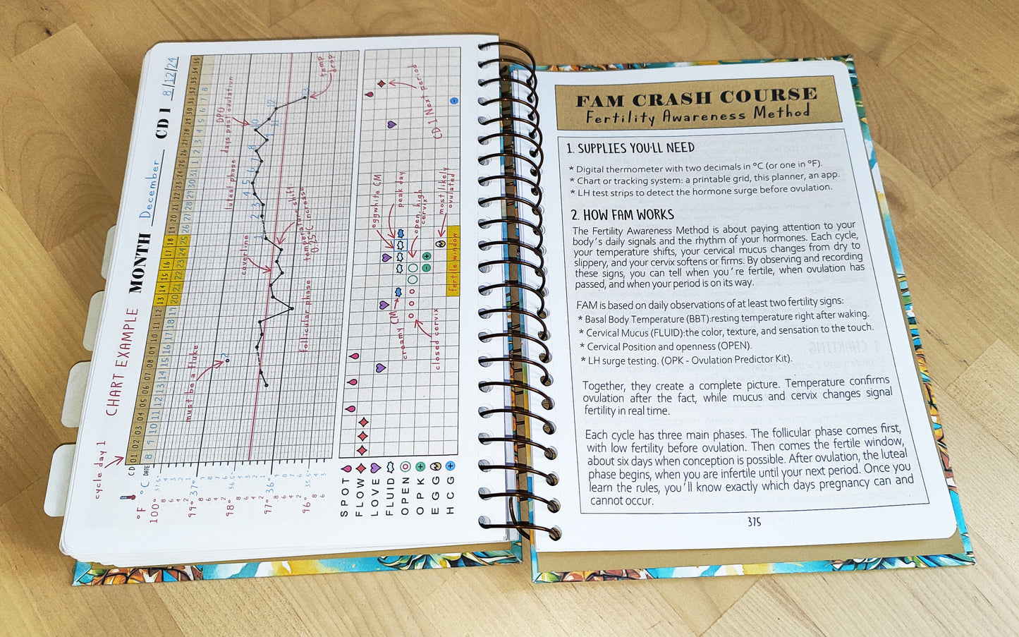 TTC PLANNER, SIGNATURE Edition: Physical Product
